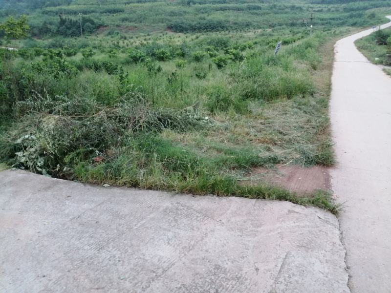 土地转让设施齐全有住房