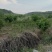 土地转让设施齐全有住房