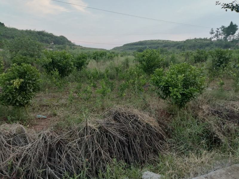 土地转让设施齐全有住房