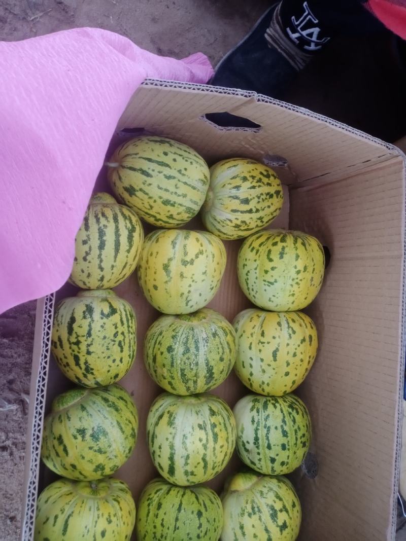 开鲁甜瓜