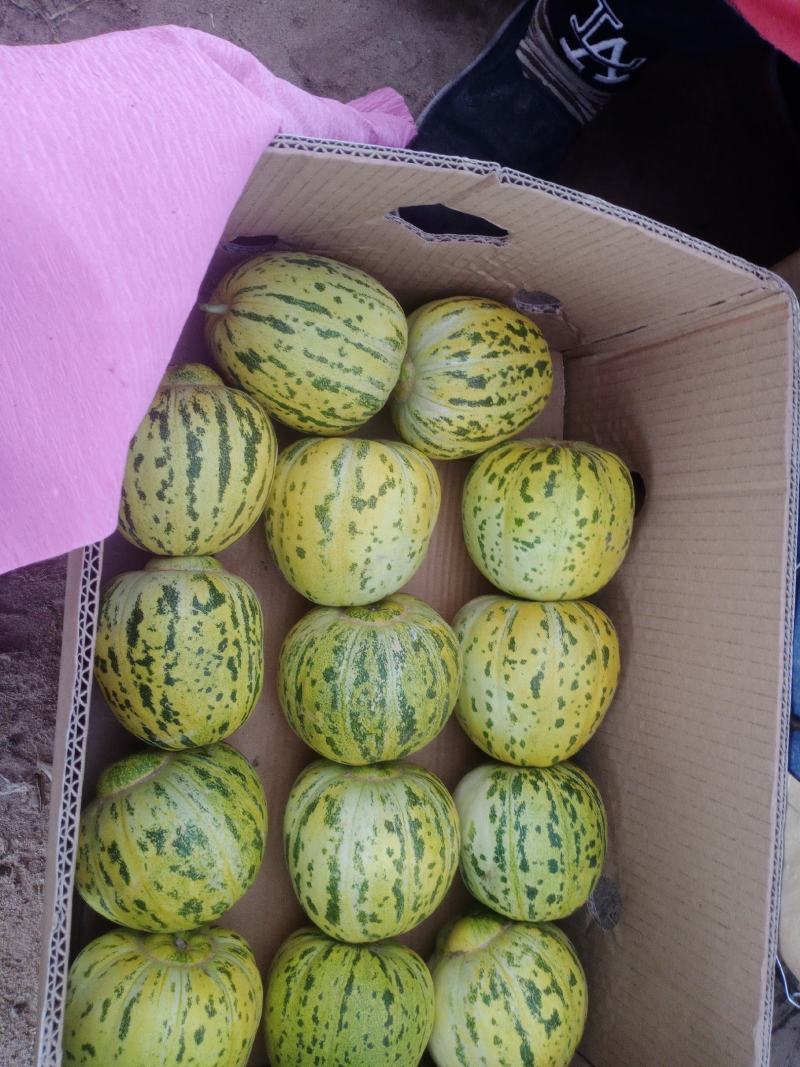 开鲁甜瓜