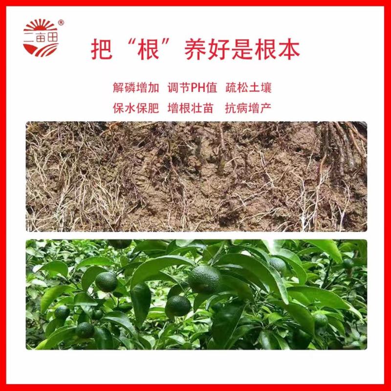 腐殖酸有机水溶肥，大量元素水溶肥，高氮，高磷，高钾，平衡