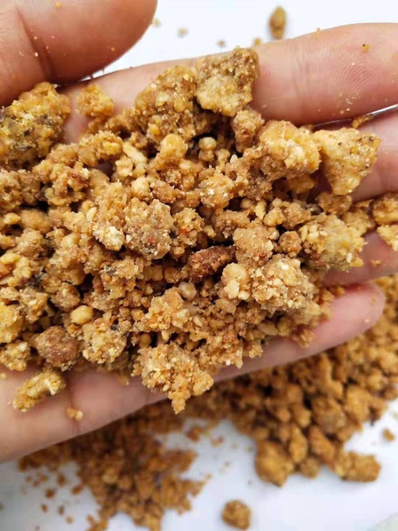 肯德基油渣用于饲料添加养殖猪牛羊鸡鸭鹅使用欢迎选购