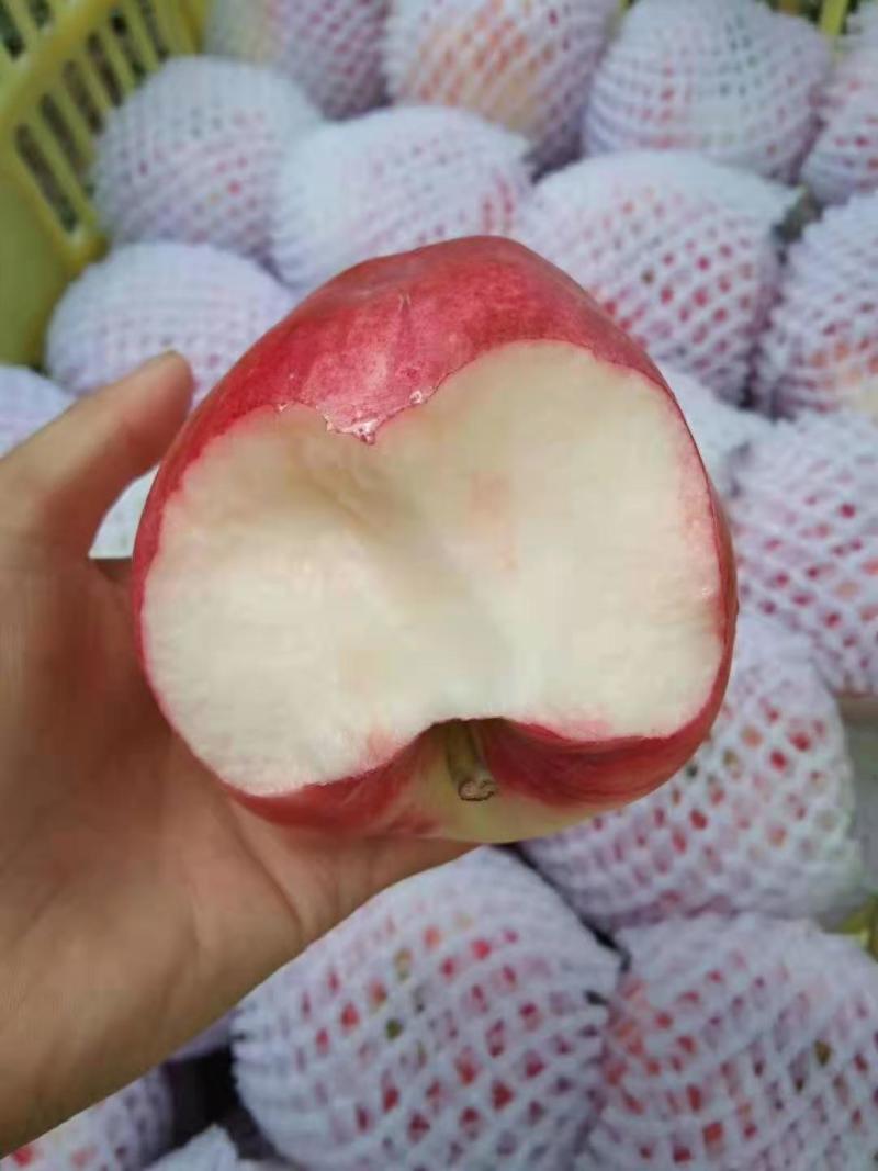 天水套袋红苹果属于早期货，香脆可口，果肉厚实