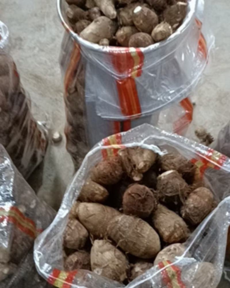 毛芋头批发精品毛芋头大量供应货源充足全国发货