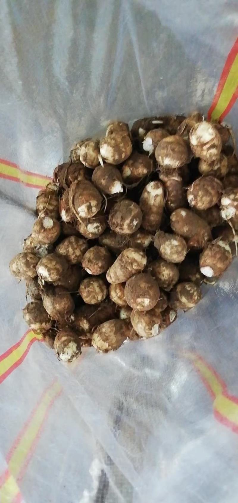 毛芋头批发精品毛芋头大量供应货源充足全国发货