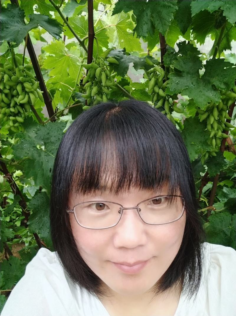 葡之梦葡萄苗(中晚熟，大长粒，特甜，冰糖牛奶香)保纯