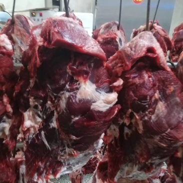 禽畜牧蛋肉