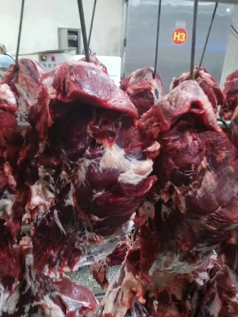 禽畜牧蛋肉