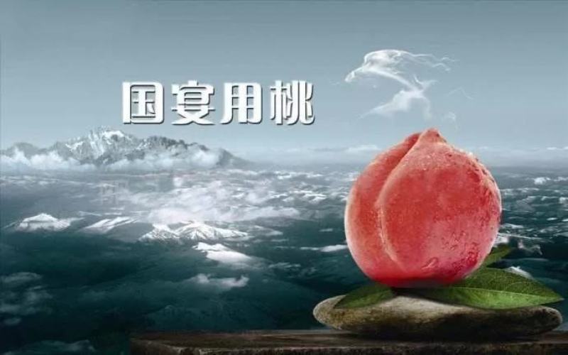 丽江拉市海精品雪桃。果大肉厚，清爽甘甜产地直发