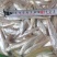 新鲜上货毛刀鱼