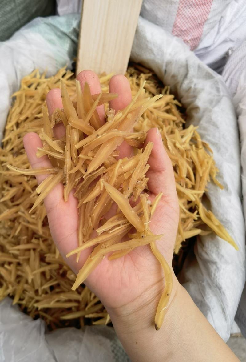 天冬各种规格无硫无添加颜色正量大从优