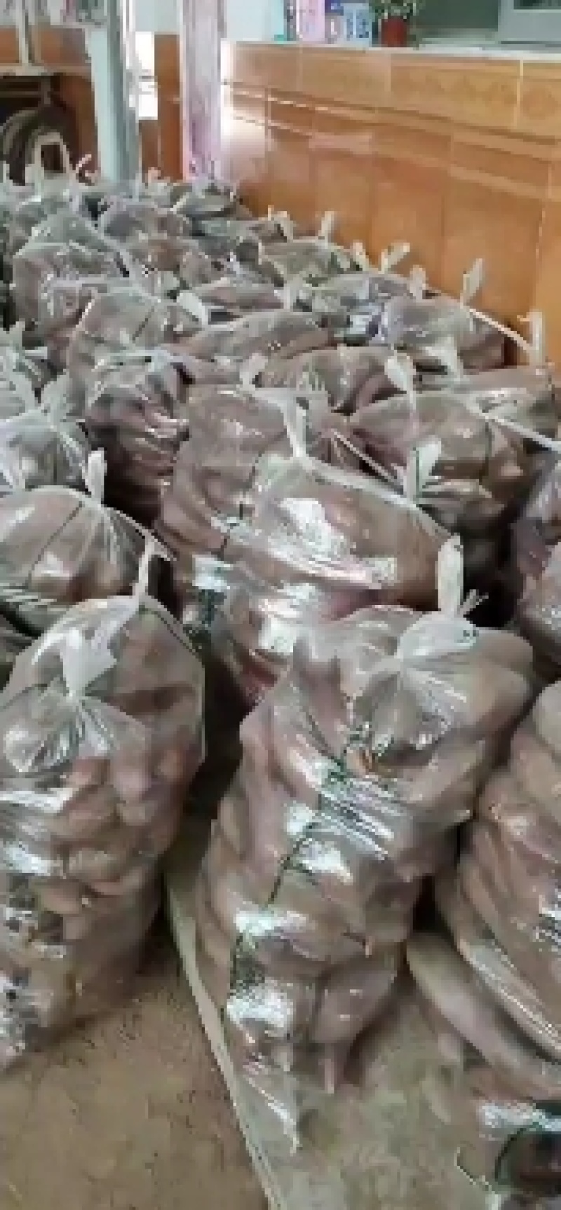 陕西，渭南板栗薯基地直供，欢迎新老客户前来洽谈合作！