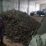 小三茬毛木耳黑木耳饭店食堂专用木耳地摊跑量木耳干货