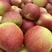 河北石家庄红星红苹果苹果大量上市产地直销全国发货