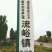 金银花苗山东金银花树苗可食用金银花红色金银花苗大小规格货