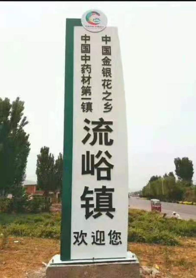 金银花苗山东金银花树苗可食用金银花红色金银花苗大小规格货