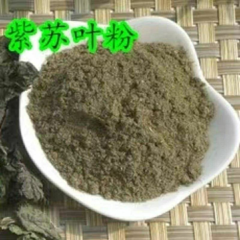 中药材紫苏叶别名苏叶赤苏紫苏皱苏尖苏香苏叶鸡冠紫苏子