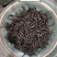 正宗武夷山正山小种高山红茶，浓香型红茶5g小袋装