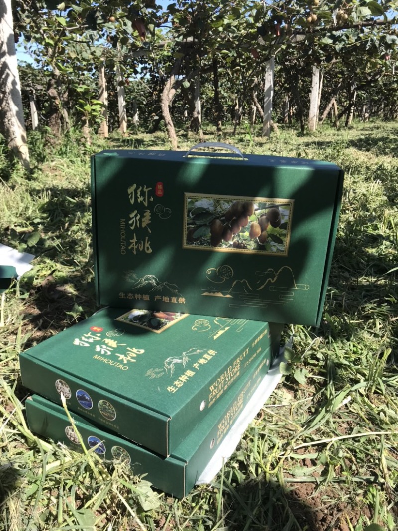 徐香猕猴桃大特价产地直供货