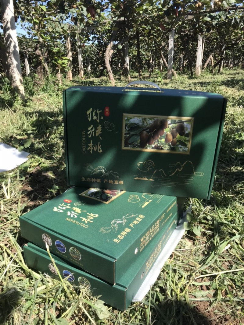 徐香猕猴桃大特价产地直供货