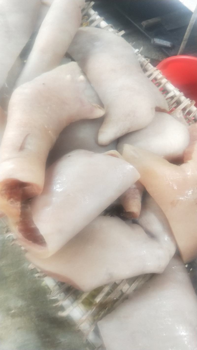 熟牛皮