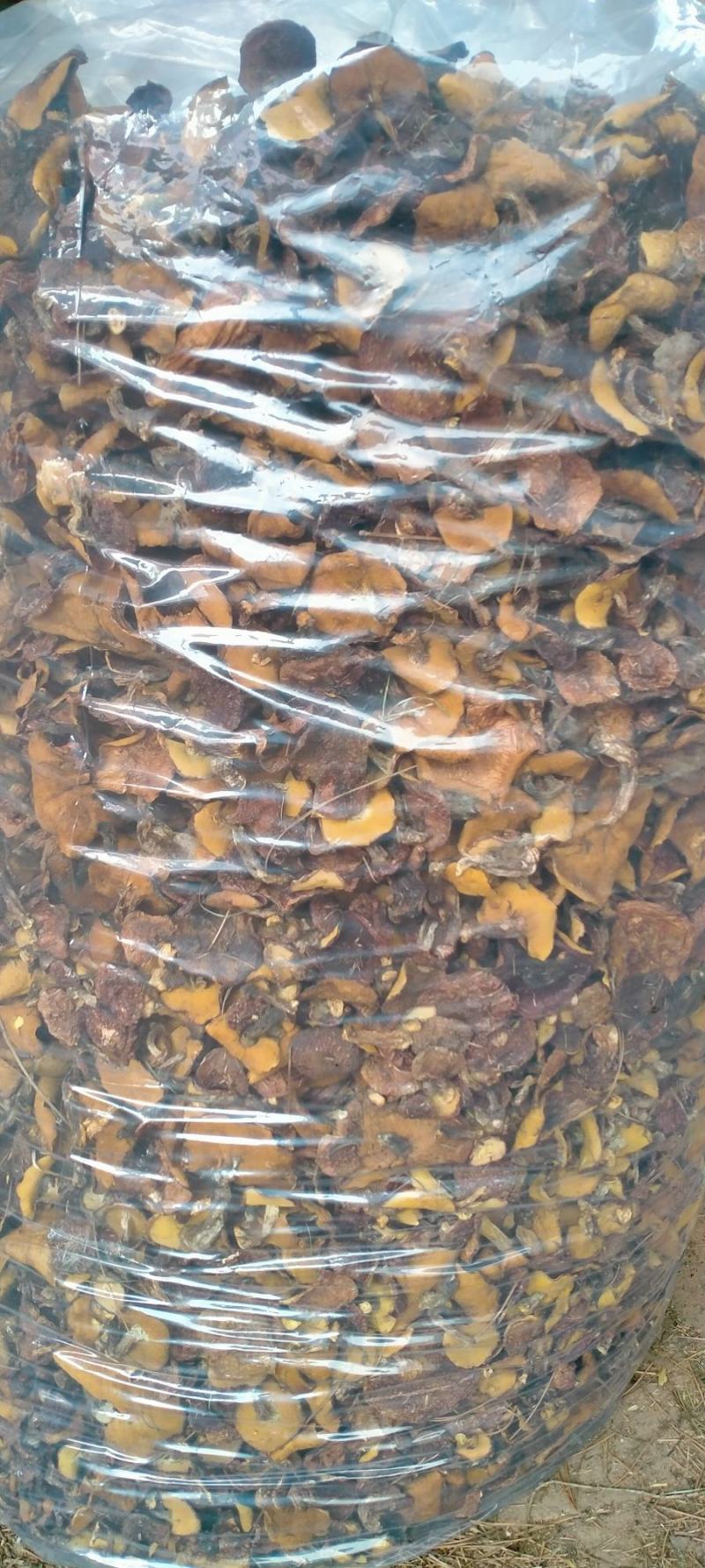 野生松蘑烘干块销售