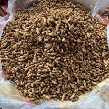 就会有新鲜花生上市需要的老板请提前预定