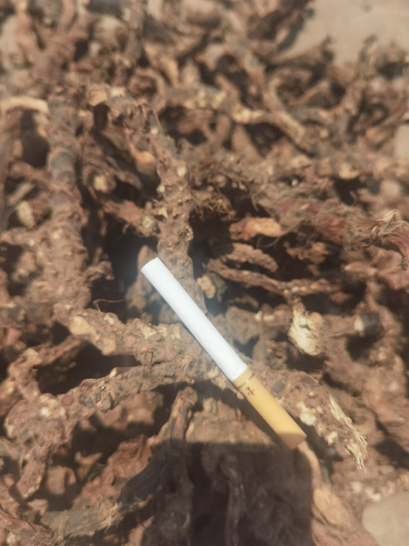 石菖蒲，长期大量提供，寻实力大商户，标准大货