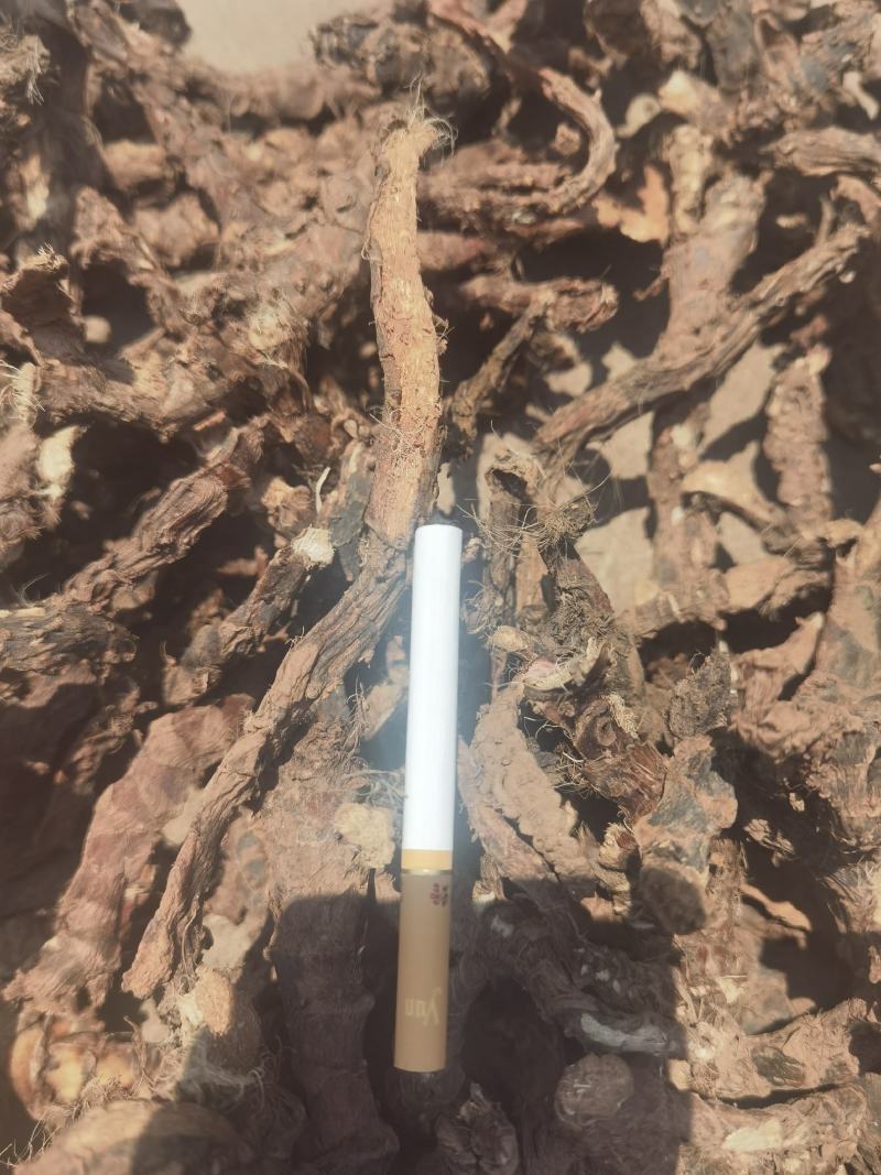 石菖蒲，长期大量提供，寻实力大商户，标准大货