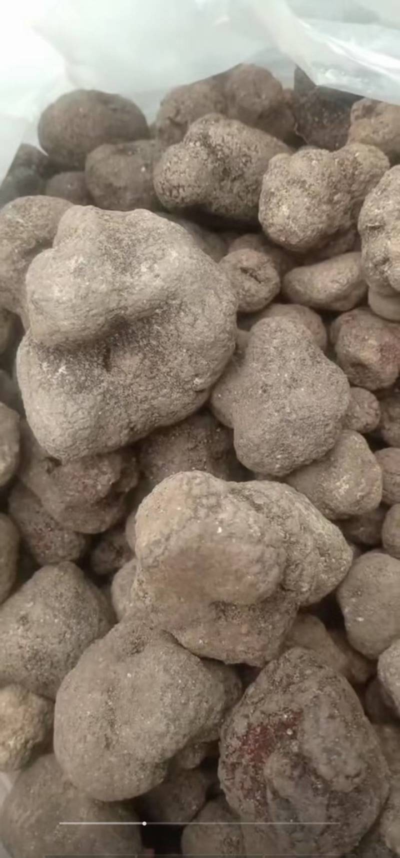 香格里拉野生松露上市季节，欢迎来选购
