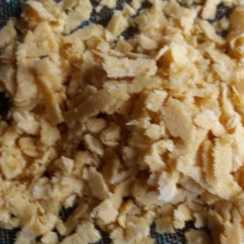 黑水虻卵