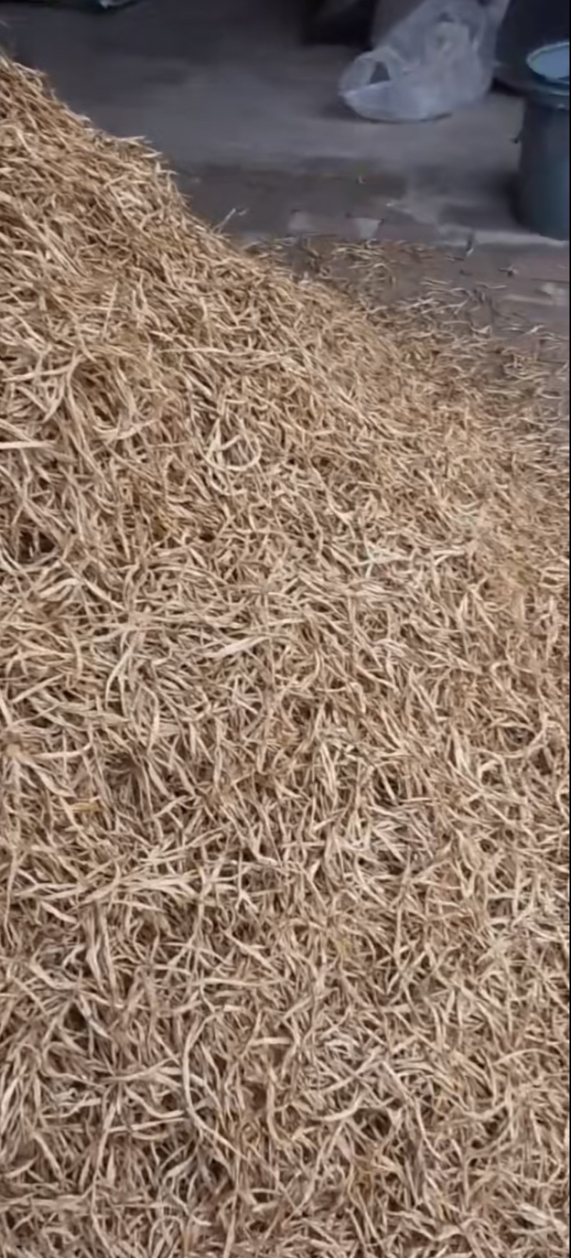 黄花菜产地直供，***