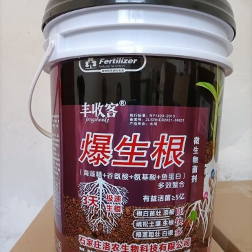 爆生根，增加产量提高品质根茎粗壮