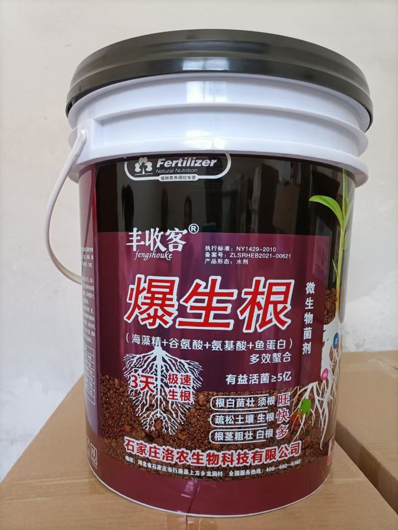 爆生根，增加产量提高品质根茎粗壮