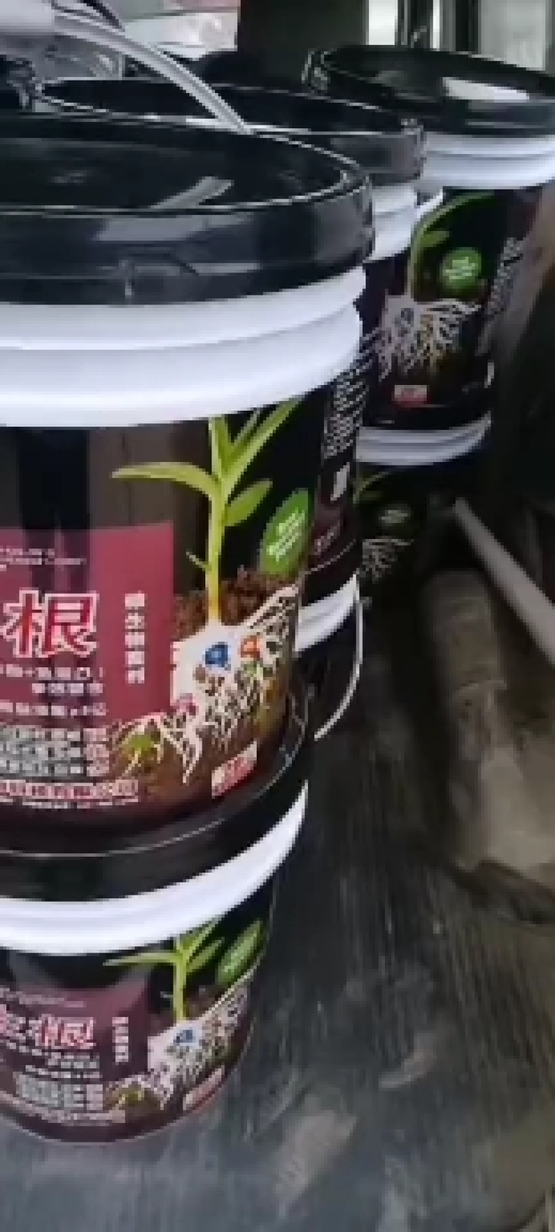 爆生根，增加产量提高品质根茎粗壮