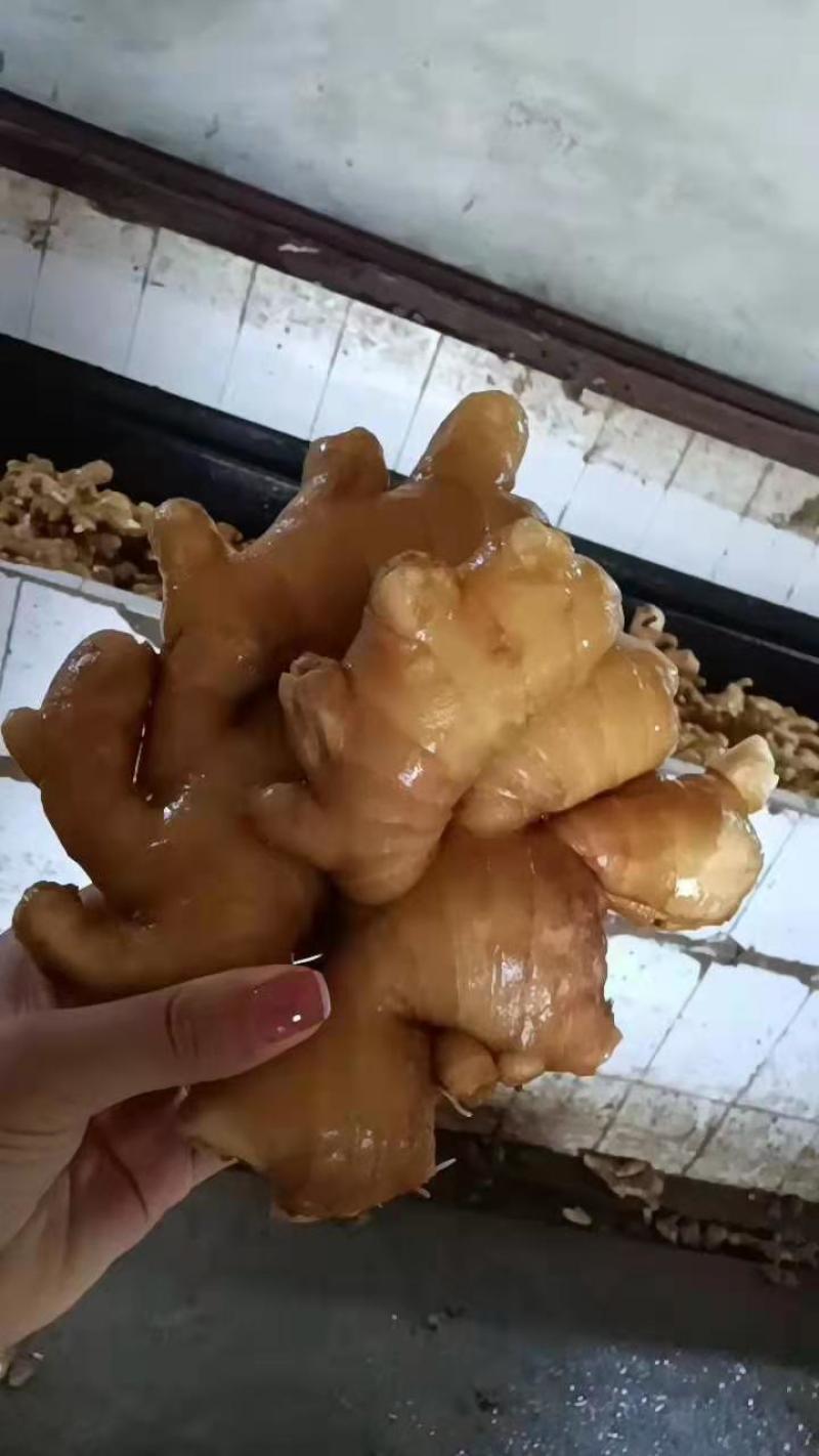 【视频看货】优质小黄姜一手货源，保质保量价格优惠