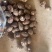 【牛商优选】优质8520毛芋头大量现货,货源充足