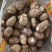 【牛商优选】优质8520毛芋头大量现货,货源充足