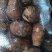 【牛商优选】优质8520毛芋头大量现货,货源充足