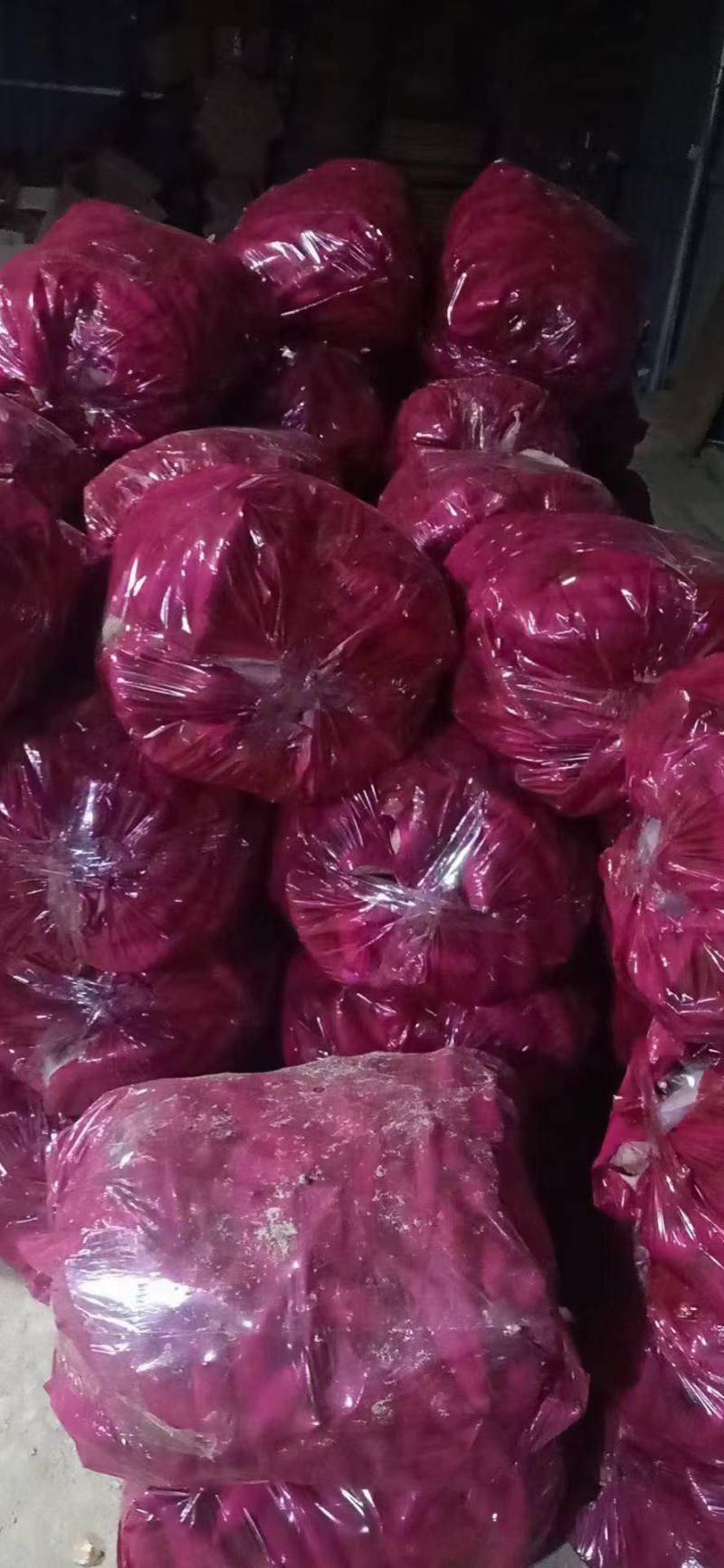 【荐】本产地批发各种红薯，支持各种包装，可选各种规格
