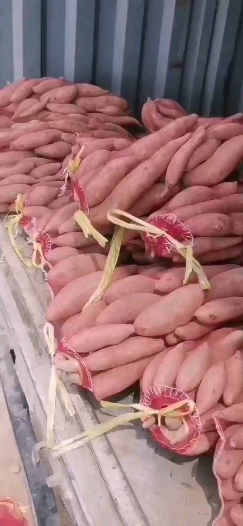 【荐】本产地批发各种红薯，支持各种包装，可选各种规格