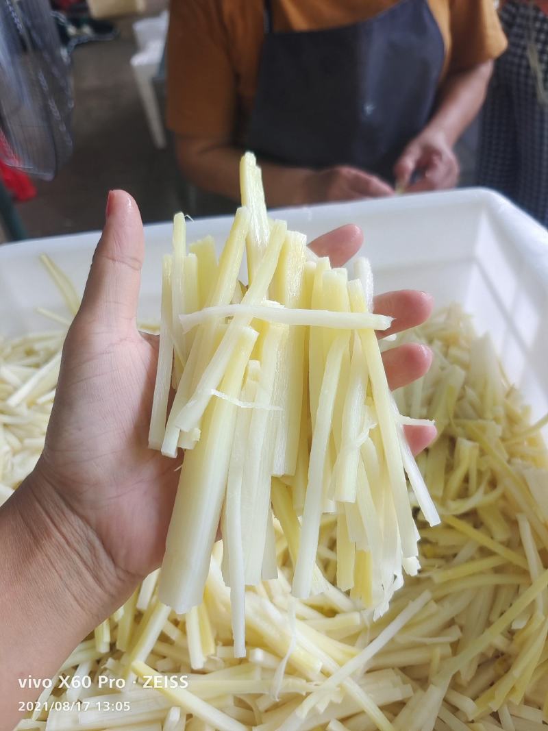 麻竹笋基地，笋尾巴大量供应整年有货实力对接
