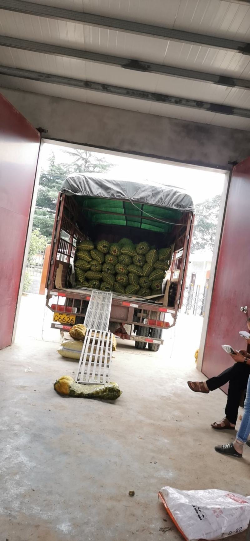 青皮核桃