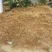 屠欢草甘膦三氯吡全新配方非耕地公路杂草灭生性除草剂