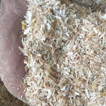 精品小麦草粉碎小麦秸秆长度一公分喂羊专用