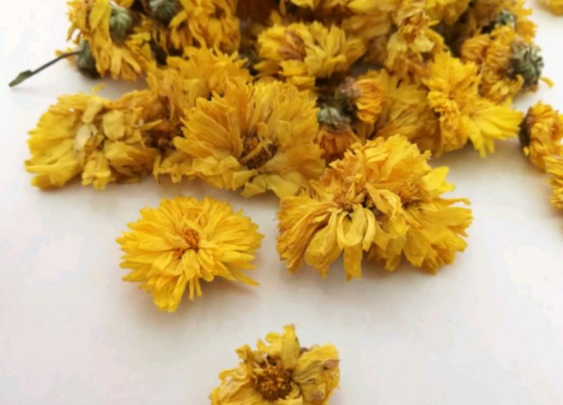 黄菊花统装500g产地黄山振兴药材购销站量大从优