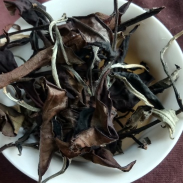 白茶