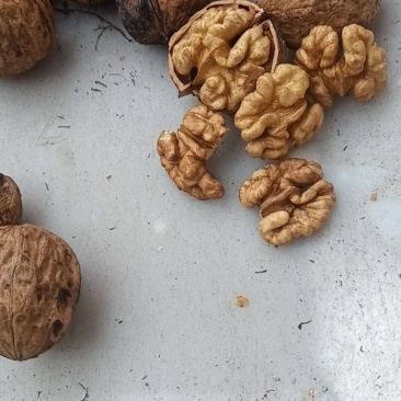 大凉山核桃香脆口感好干