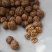 大凉山核桃香脆口感好干